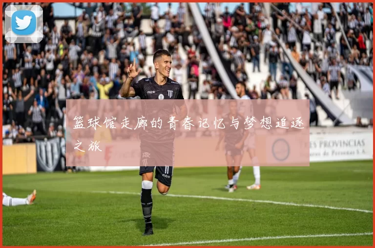 篮球馆走廊的青春记忆与梦想追逐之旅