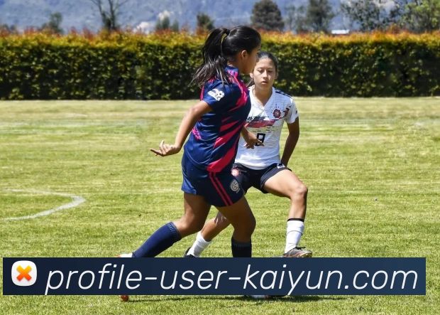 开云APP 高清赛事图